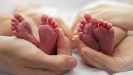 Mother and father's hands cradling twin babies' feet on a pale background. - obrazy, fototapety, plakaty