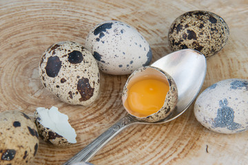 Quail easter eggs with a silver spoon on the wooden texture