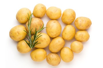 New potato and rosemarin isolated on white background close up.