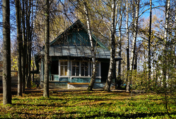 Old wooden house in forest