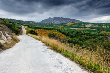 Fototapeta na wymiar Long road alongside farm, Greece