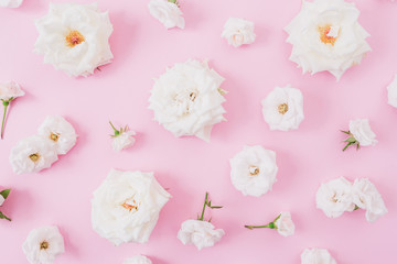 White roses and buds on pink background. Flat lay, top view. Pastel background.
