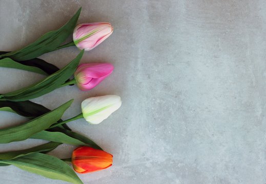 Tulips on distort concerte background with  copy space for message. Mother's Day background. Top view