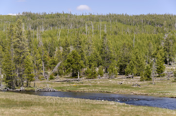 landscape with lakes and rivers in Yellowstone