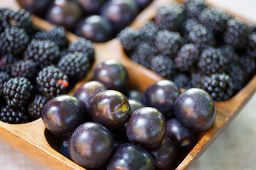 fruits of plums and blackberries