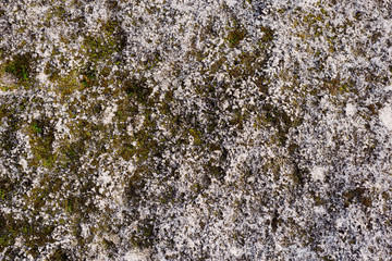 Stone background