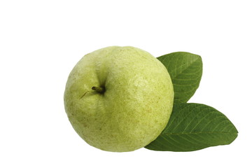 guava fruit isolated on the white background