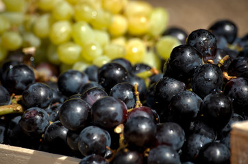grapes