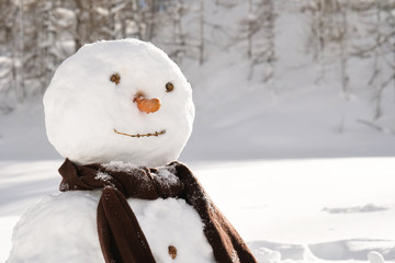 Portrait of a snowman on a winter day, on the mountains. Concept of: winter holidays, family,...