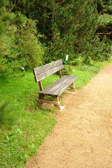 Isolated bench. Lateral view of a wooden bench in the park near the alley.