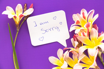 Note in shape of heart with words "I am sorry!" with flowers on purple surface.