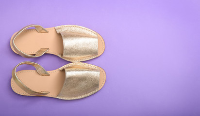 Pair of female shoes on color background