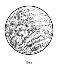Planet Venus illustration, drawing, engraving, ink, line art, vector © jenesesimre