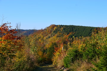 Herbst im Harz, Sachsen- Anhalt