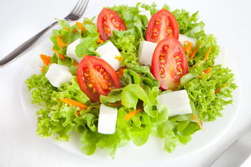 Close up of a green healthy salad against a white background