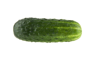 juicy, fresh cucumbers isolated on white background