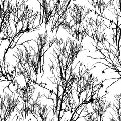 Pattern of silhouettes of bushes of a wild rose on snow