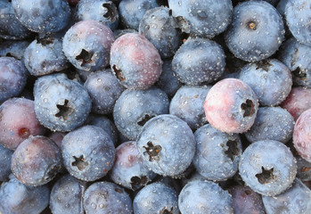 Closeup of fresh delicious blueberries with water drops.