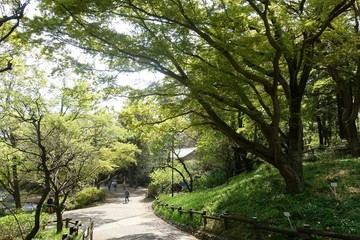 井之頭公園