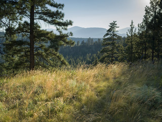 Grasslands with mountain range in the background, British Columbia, Canada