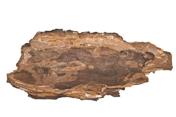 tree bark isolated on white background - obrazy, fototapety, plakaty