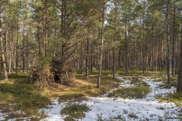 A shelter in the forest