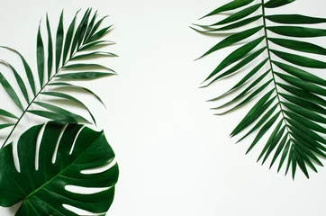 Poster Groene plat lag tropische palmblad takken op witte achtergrond. Ruimte voor tekst, kopiëren, belettering. © mykolastock