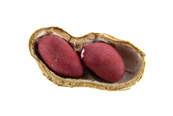 peanuts isolated on white background
