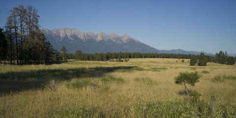 Scenic view of field, British Columbia, Canada © klevit