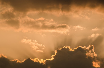 Beautiful sunset sun rays penetrating through fluffy clouds on orange sky in a hot summer day at dusk. Awesome cloudscape background or backdrop wallpaper for your graphic design project