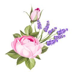 Spring flowers bouquet of color bud garland. Label with rose and lavender flowers. Vector illustration.