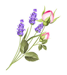 Wedding flowers bouquet of color bud garland. Label with rose and lavender flowers. Vector illustration.