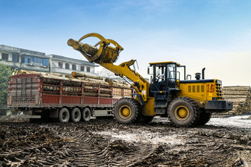 Forklift truck grabs wood in a wood processing plant