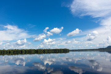 Fototapeta premium Beautiful reflection of blue sky and clouds in the waters of the Negro River with rainforest in the background.