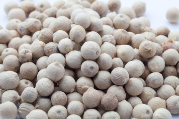 Close-up of white pepper