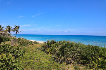 Fototapeta na wymiar A beautiful view of the Atlantic Ocean as seen from Singer Island, Florida.