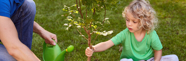 Boy holding tree seedling