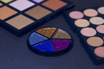 Professional make up palette on black background