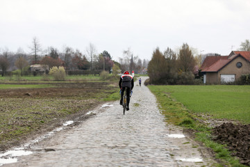 Naklejka premium Paved area of the Paris-Roubaix race