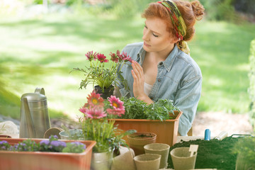 Woman caring about flowers