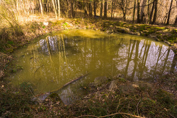 a little lake in the woods with nice reflections