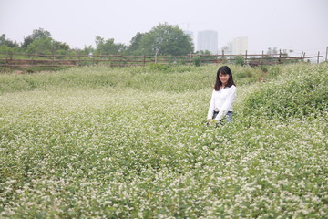 woman at the flower garden in Hanoi, Vietnam
