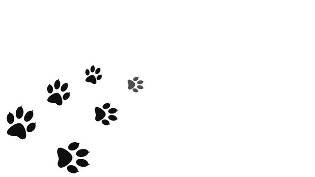 Footprints walking animal on white. Background with animal paw prints. Cartoon comic funny paws.  