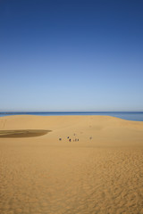 鳥取砂丘　（鳥取県鳥取市）