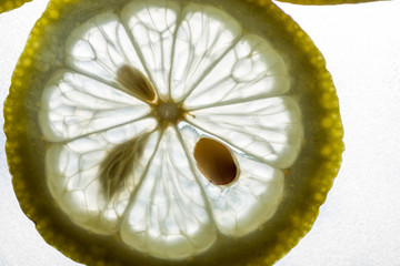 Lemon slices close up ,background