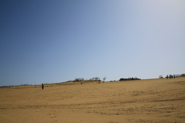 鳥取砂丘　（鳥取県鳥取市）