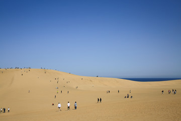 鳥取砂丘　（鳥取県鳥取市）