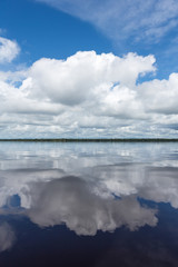 Fototapeta premium Beautiful reflection of blue sky and clouds in the waters of the Negro River with rainforest in the background.