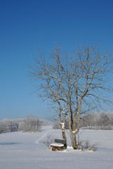 Winterlandschaft auf dem Filsenberg, Schwäbische Alb