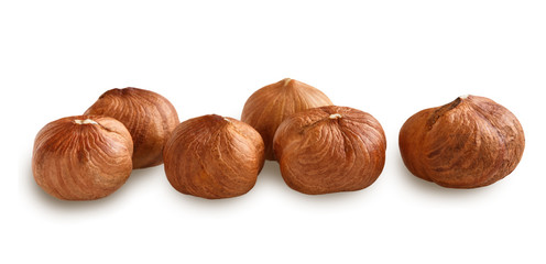 hazelnut nut without shell isolated on white background